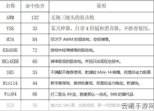 刺激战场实战攻略,枪械搭配策略与实战应用全解析,解锁趣味玩法新境界