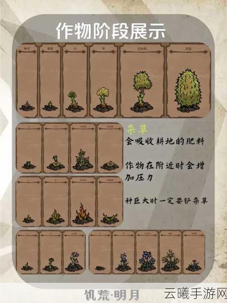 饥荒联机版沃利种地攻略，种瓜得瓜版本，沃利开局思路大揭秘！