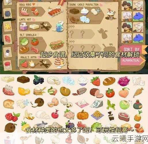 风云岛行动食谱大全解锁,打造你的专属美食冒险之旅!