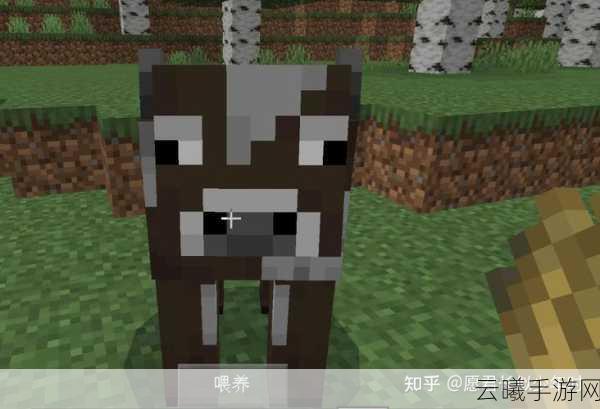 我的世界中牛的作用及趣味玩法全解析