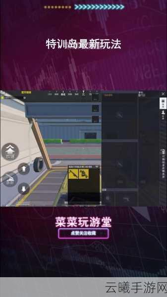 和平精英鸡哥回血秘籍及趣味玩法大揭秘