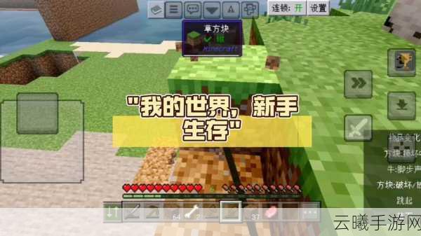 我的世界生存模式全攻略,从新手到高手的进阶之路