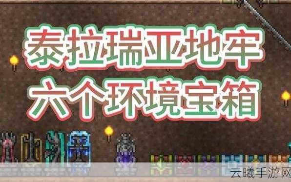泰拉瑞亚探索指南,揭秘小丑的神秘踪迹与全面属性掉落宝藏