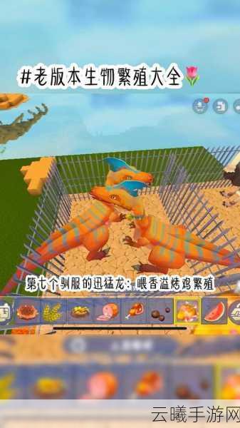 迷你世界坐骑下蛋秘籍,解锁趣味养殖新玩法,探索无限创意!