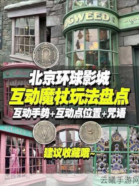 哈利波特，魔法觉醒魔杖选择全攻略，开启你的魔法之旅！