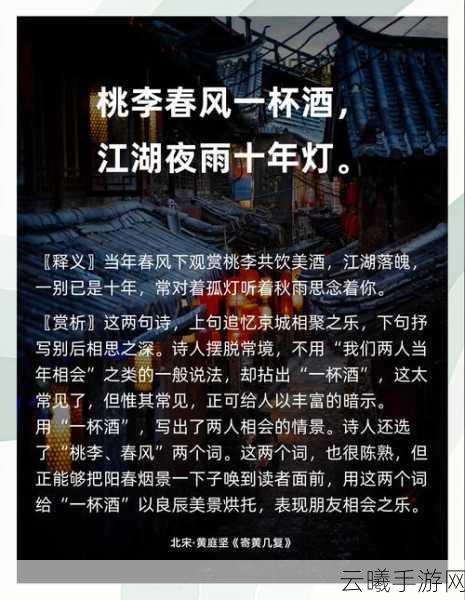 烟雨江湖洛阳醉汉寻踪,奇遇与美酒的不解之缘