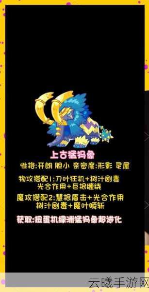 洛克王国索尔性格推荐及趣味玩法深度解析