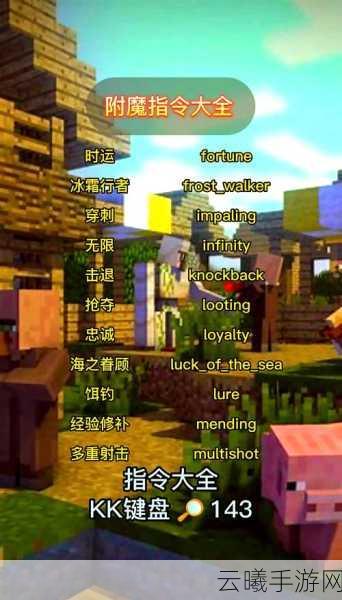 我的世界神奇宝贝指令刷神兽全攻略,常用指令与趣味玩法揭秘