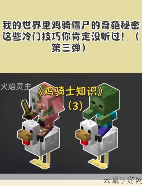 我的世界生存及操作冷门技巧与趣味玩法大揭秘