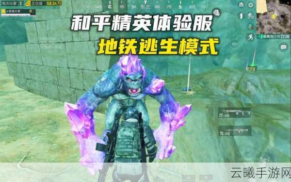 和平精英国际服地铁逃生模式全面解析,刺激与智慧的终极较量