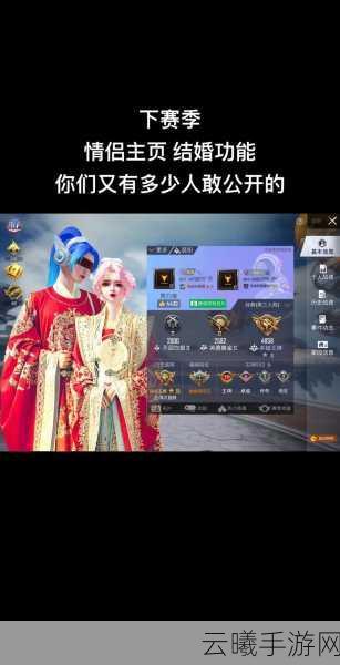 和平精英深度揭秘，玩家间亲密度关系的极限高度与趣味玩法探索