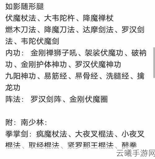代号剑影新手秘籍，解锁隐藏剑招与连招技巧全攻略