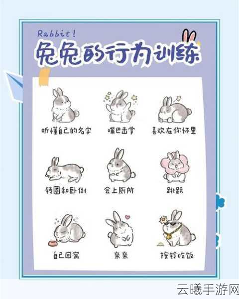 我的世界兔子脚作用全攻略，解锁跳跃药水与更多趣味玩法