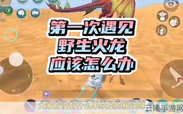 创造与魔法龙草刷新时间揭秘及趣味玩法探索