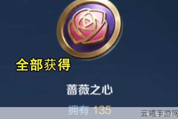 王者荣耀蔷薇之心，珍稀道具的获取与使用全攻略