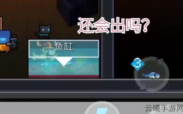 元气骑士鱼缸,解锁隐藏乐趣与惊喜的奇妙之源
