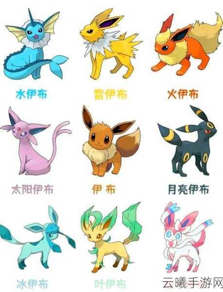 口袋妖怪系列,揭秘土地云为何能跻身排位赛的神兽宝座