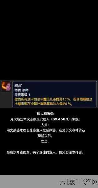 魔兽世界Plus人类法师符文全攻略，解锁强大力量，探索无尽冒险！