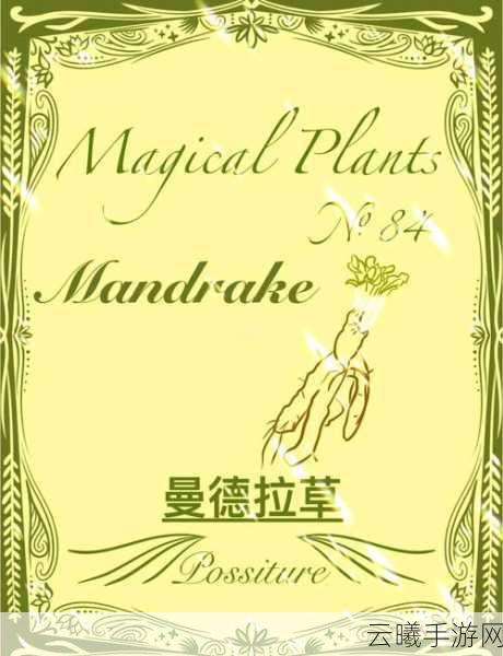 魔法奇境,哈利波特与曼德拉草之谜手游资讯——探索神秘魔法世界,揭秘曼德拉草的奥秘!