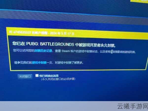 绝地求生国际服归属蓝洞,详解蓝洞申诉解封方法与趣味玩法