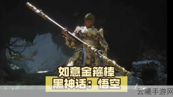 杨奇试戴《黑神话》豪华版金箍：自己头大 都卡住了