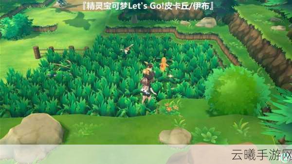 宝可梦探险寻宝阿柏蛇食谱攻略，解锁全新探险乐趣！
