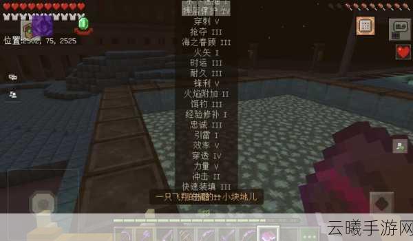 我的世界深度探索，揭秘附魔之瓶的神秘用法与趣味玩法