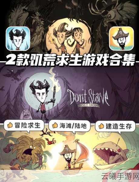 饥荒海滩生存记，如何在绝境中筑梦家园？——海滩房子建造与趣味生存全攻略
