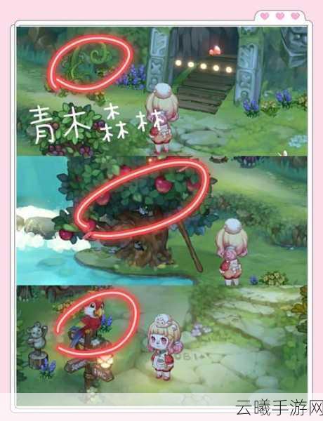 跨越星弧手游资讯，揭秘橄榄探索45精英级自由军通关攻略与趣味玩法