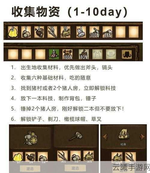 饥荒白鲸血量揭秘及趣味玩法探索