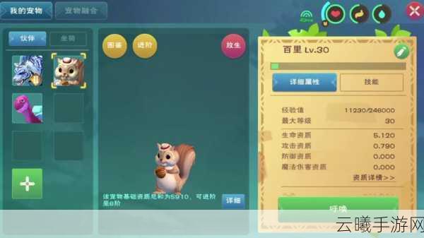 创造与魔法深度解析,极品松鼠是否值得追求?探索无限创意的魔法世界
