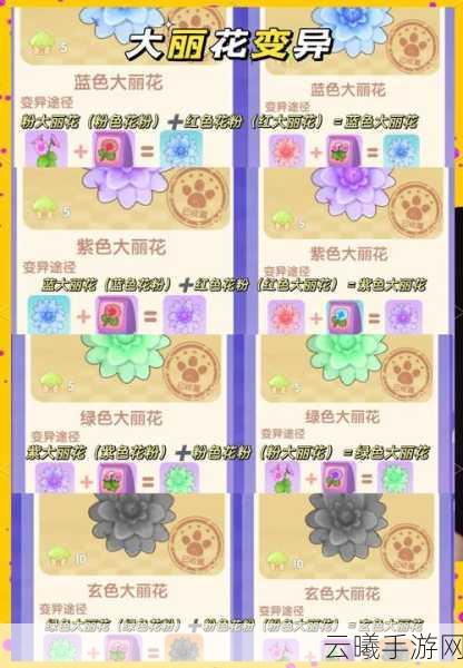 摩尔庄园普兰花获得方法详解，快速获取指南及趣味玩法探索