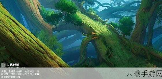 晶核coa古代巨树拍照地点全揭秘，探索与留影的双重乐趣