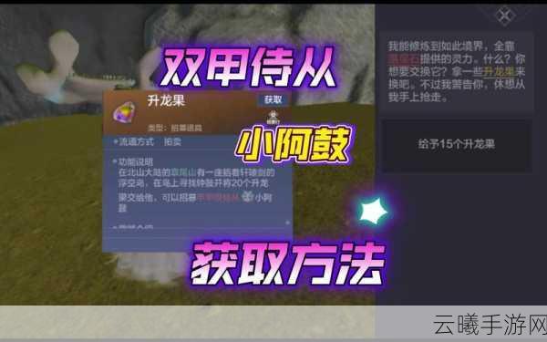 妄想山海小阿鼓进阶全攻略,解锁更强战斗力与趣味玩法