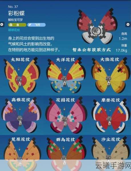 宝可梦朱紫深度揭秘,伪龙宝主寻觅全攻略,解锁隐藏挑战与趣味玩法!