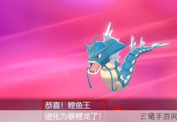宝可梦大探险鲤鱼王食谱配方及趣味玩法全揭秘
