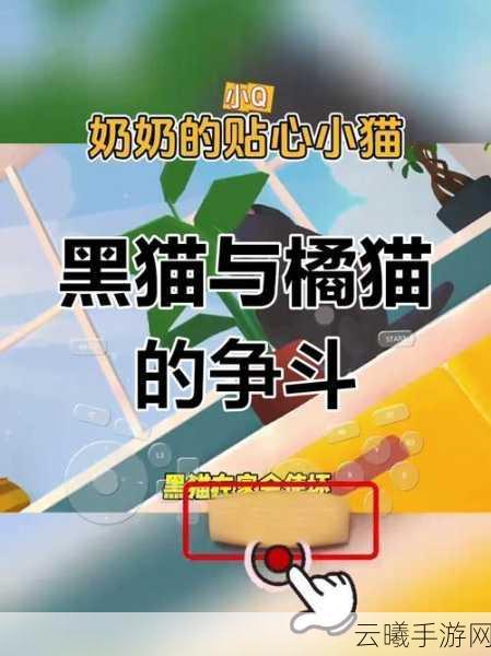 绝区零萌宠攻略大揭秘,小黑猫领养全指南及趣味互动新玩法