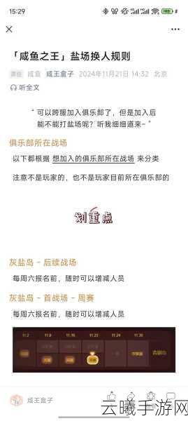 咸鱼之王咸将塔28-10低配通关秘籍，策略与技巧助你轻松登顶！