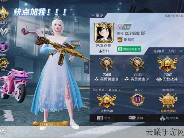 和平精英语音沟通障碍全攻略，让队友清晰听见你的指令，解锁团队协作新境界