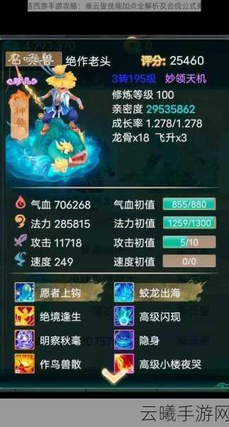 大话西游手游垂云叟技能调整深度解析，实战应用与趣味玩法全面解读