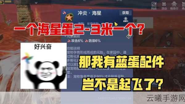 妄想山海蓝蛋性价比深度剖析，囤货策略与趣味玩法探索