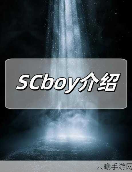 SCBOY深度锐评火炬之光,无限,黄旭东审慎视角下的游戏魅力探索