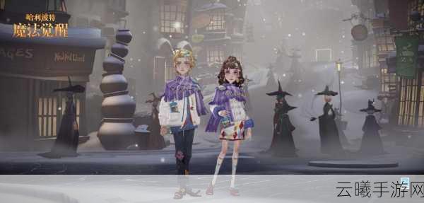 哈利波特,魔法觉醒深度攻略,揭秘稀有宠物小雪鸮的获得方法与技巧
