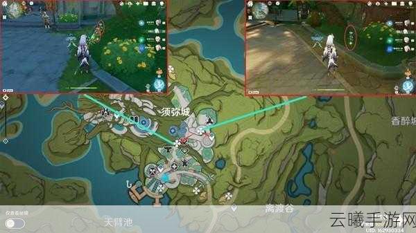 原神帕蒂莎兰采集位置全攻略,解锁须弥之美,探索隐藏乐趣