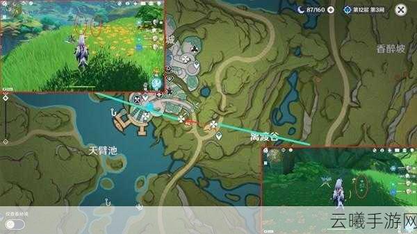 原神帕蒂莎兰采集位置全攻略,解锁须弥之美,探索隐藏乐趣