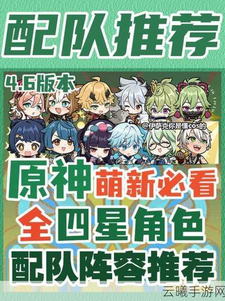 原神国家队阵容深度解析，玩法多样性与培养攻略大揭秘