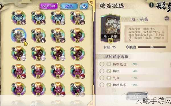 天地劫,剑邪魂石技能搭配攻略——实战深度剖析与高效组合策略揭秘