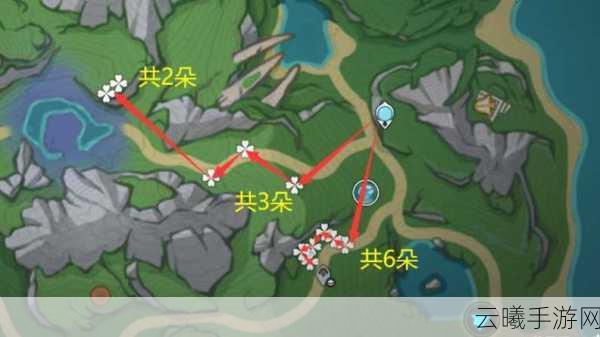 原神虹彩蔷薇采集全攻略,解锁高效采集与趣味玩法