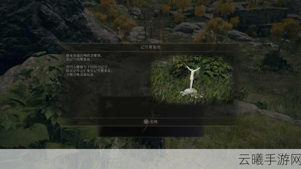 艾尔登法环协力记号使用指南及趣味联机玩法揭秘