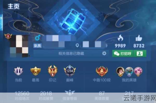 王者荣耀主页装扮获取攻略,解锁你的专属荣耀